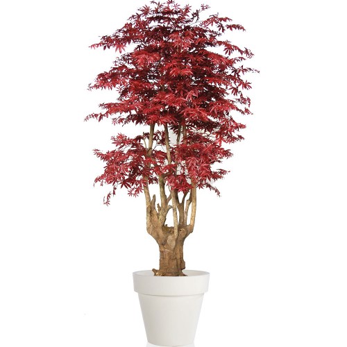 Planta semi-artificiala Ila, Maple Malabar Lux Burgundy - 250 cm